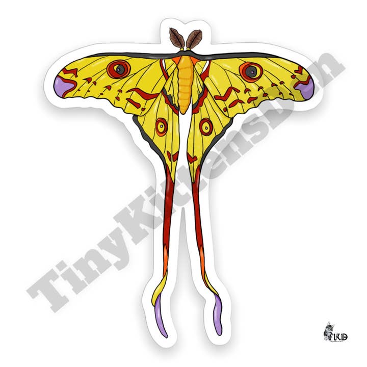 Etiqueta de vinil de traça amarela por atacado de TinyKittensDen