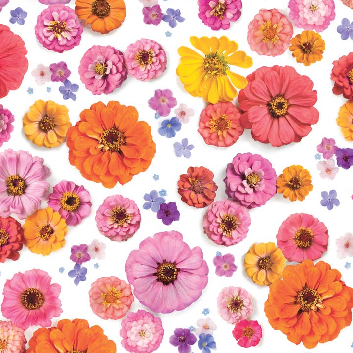 Bottle Branch - Wholesale Flat Wrap - Gift wrap ~ Zinnia1