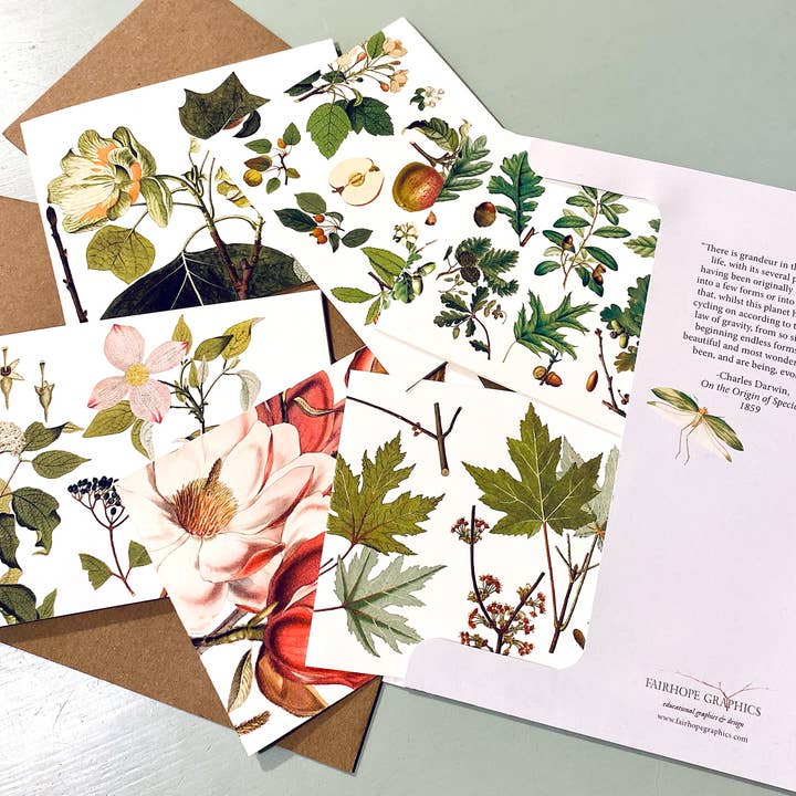 Flowering Trees Card Pack for wholesale by Fairhope Graphics