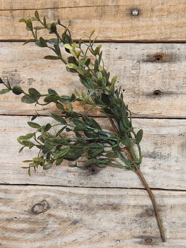 Rama de boj 12" para venta al por mayor de DNS Designs