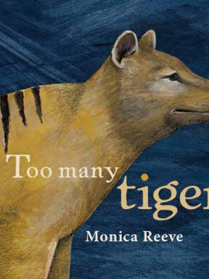 BOX OF 25 - Too Many Tigers - Picture Book for wholesale by PIGMENT MONICA REEVE
