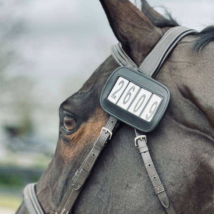 ACE Equestrian – Equipamento de equitação por atacado – PRO4MANCE | # I.D. - Preto (Pacote com 2, 4 dígitos)2