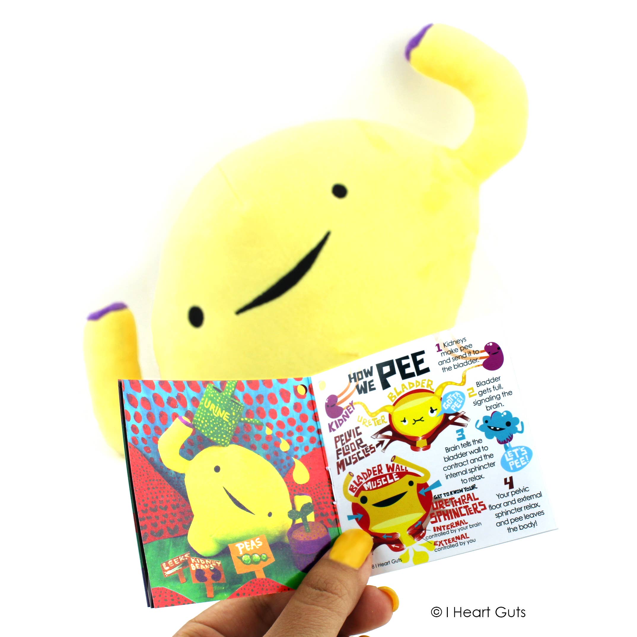 I Heart Guts | Organ Plushies Wholesale - Wholesale Stuffed/Plush Toy - Kids & Baby - Bladder Plush - Don't Stop Relievin'6