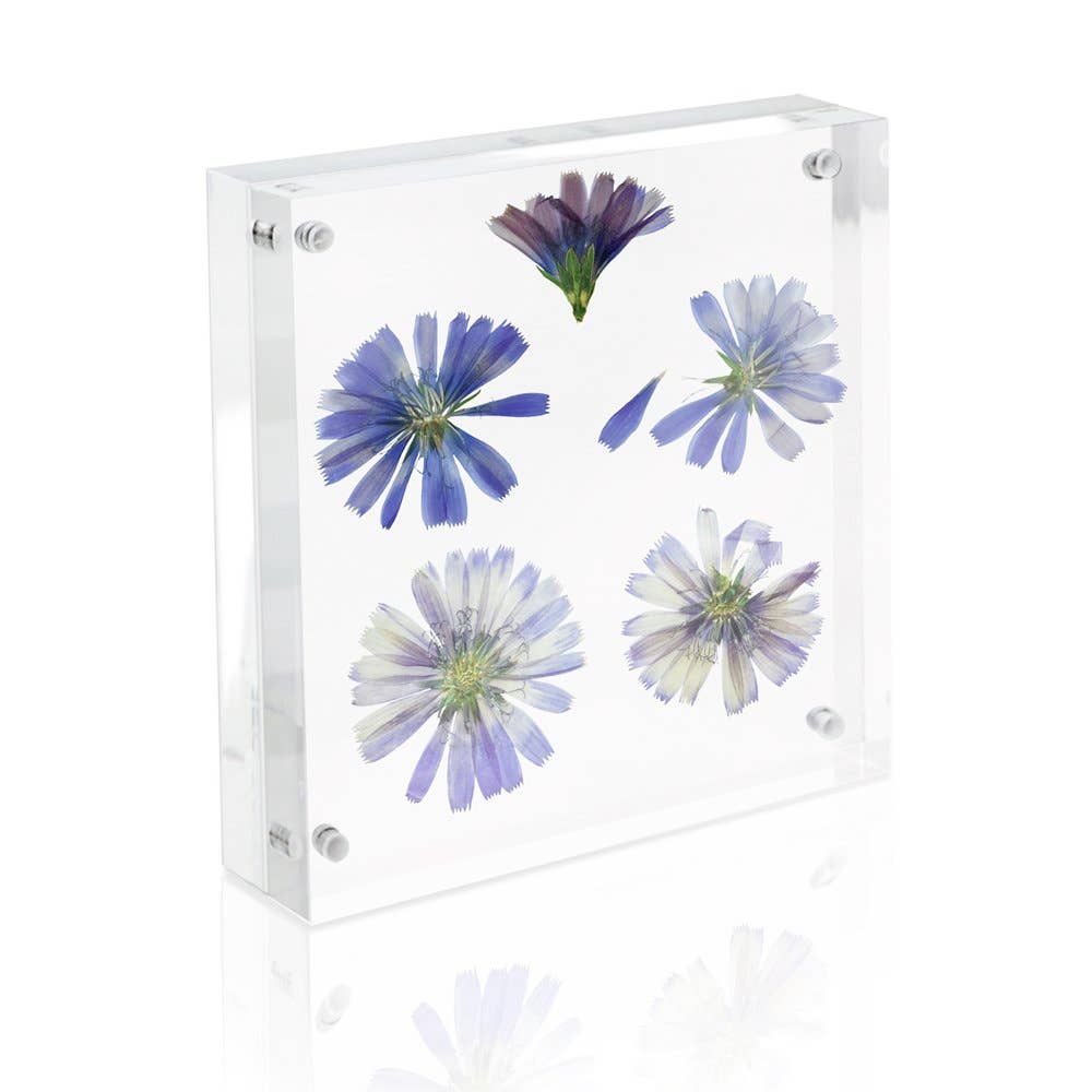 Isaac Jacobs International - Wholesale Picture Frame - Isaac Jacobs Super Thick Clear Acrylic Magnetic Photo Frame14