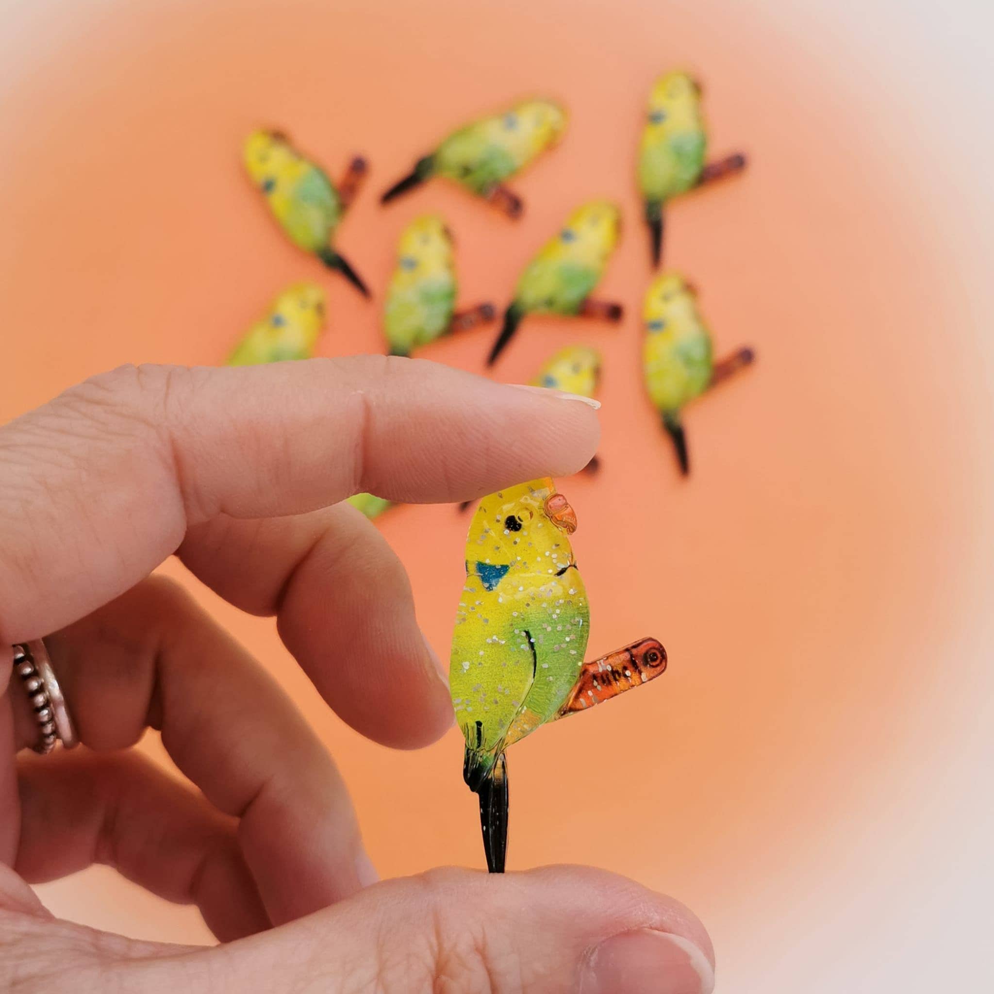 Pampa Mia - Vente Matériels de bricolage - Ensemble de 10 perruches en acrylique2