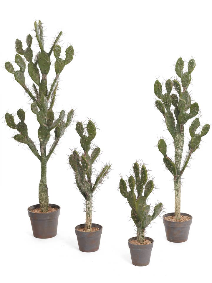 CACTUS AVEC CORNE POT ROUILLÉ 23" pour la vente par Studio Specialties