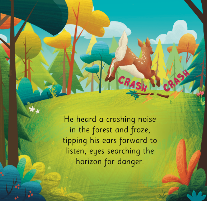 Wild at Heart Press - Wholesale Preschool Book (3-5) - Fabio's Great Escape5