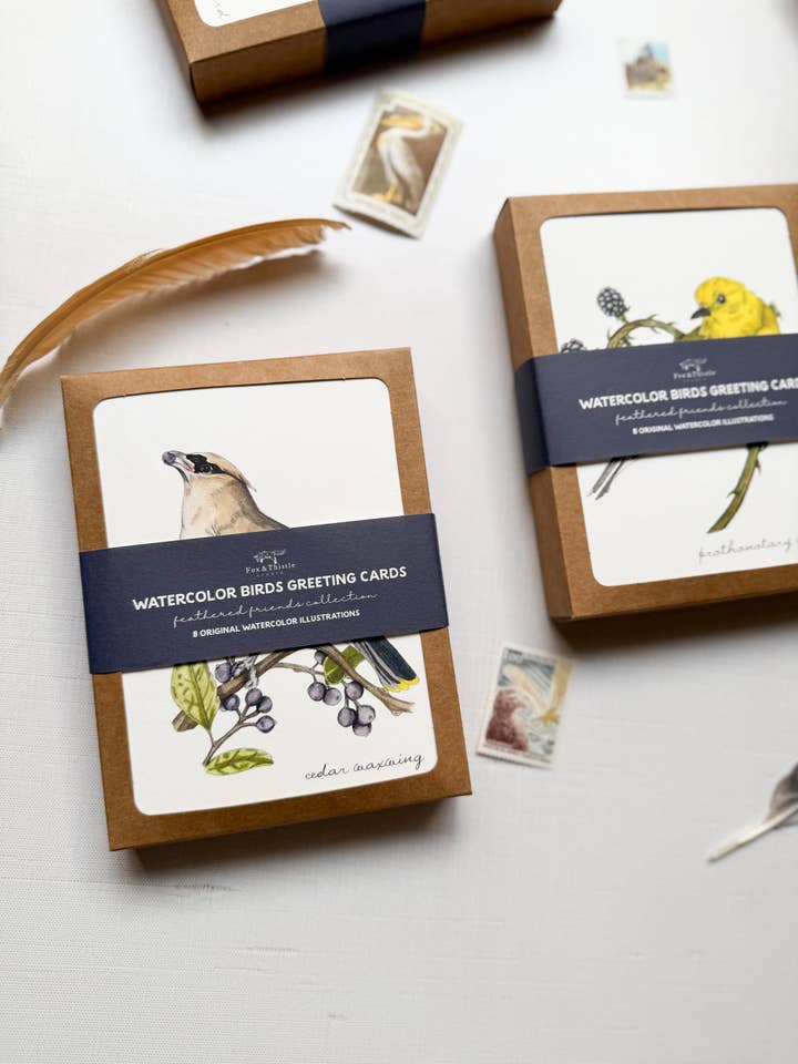 Boxed Watercolor Bird Greeting Card Packs for wholesale by Fox & Thistle Studio