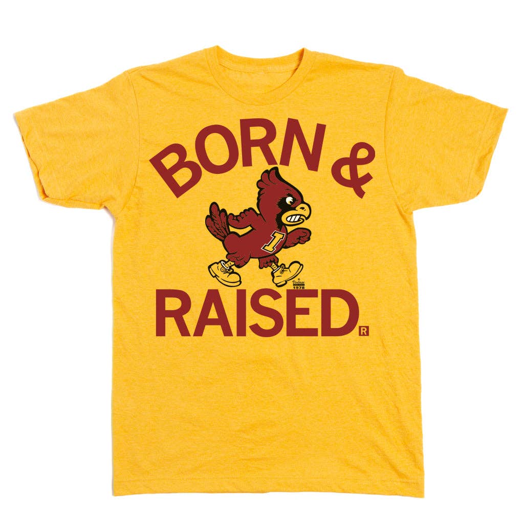 RAYGUN - Wholesale Screen Printed T-Shirt - Unisex - Cyclones Born & Raised Vintage Gold1