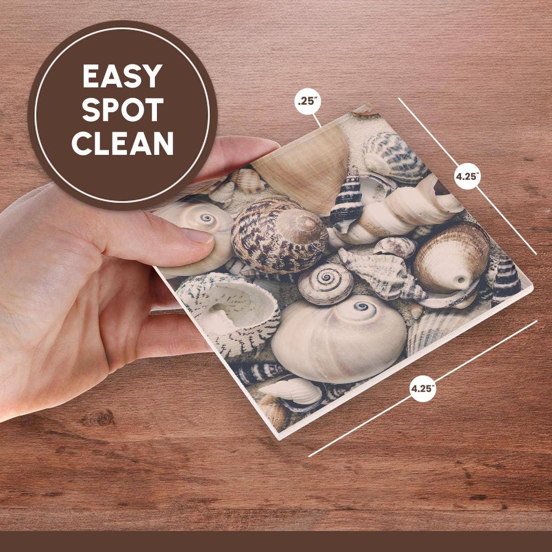 3dRose - Wholesale Coasters - 3dRose, Vintage Style Sea Shell Collection, Coaster6