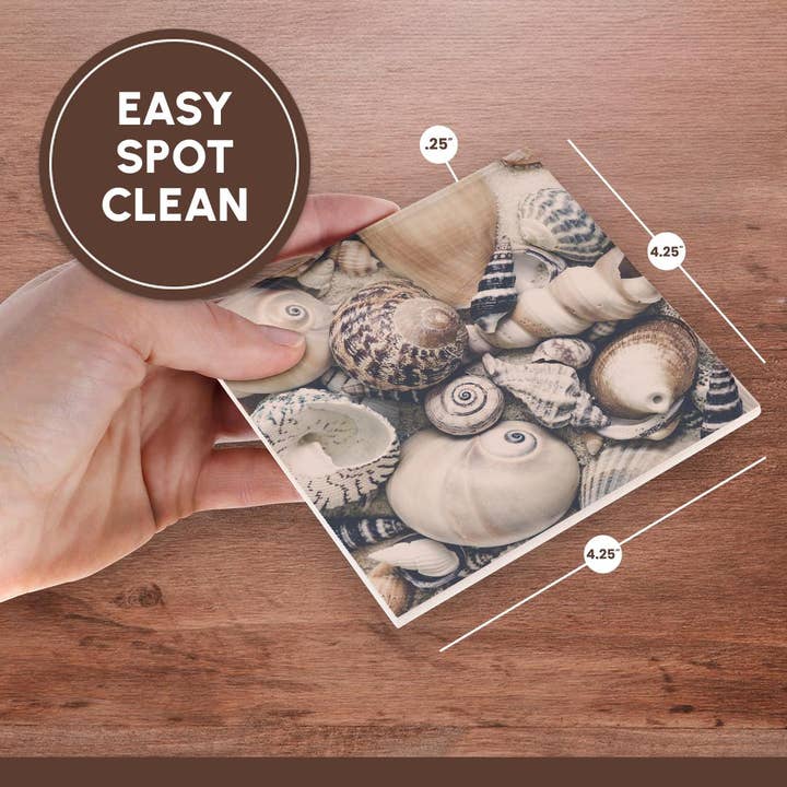 3dRose - Wholesale Coasters - 3dRose, Vintage Style Sea Shell Collection, Coaster6