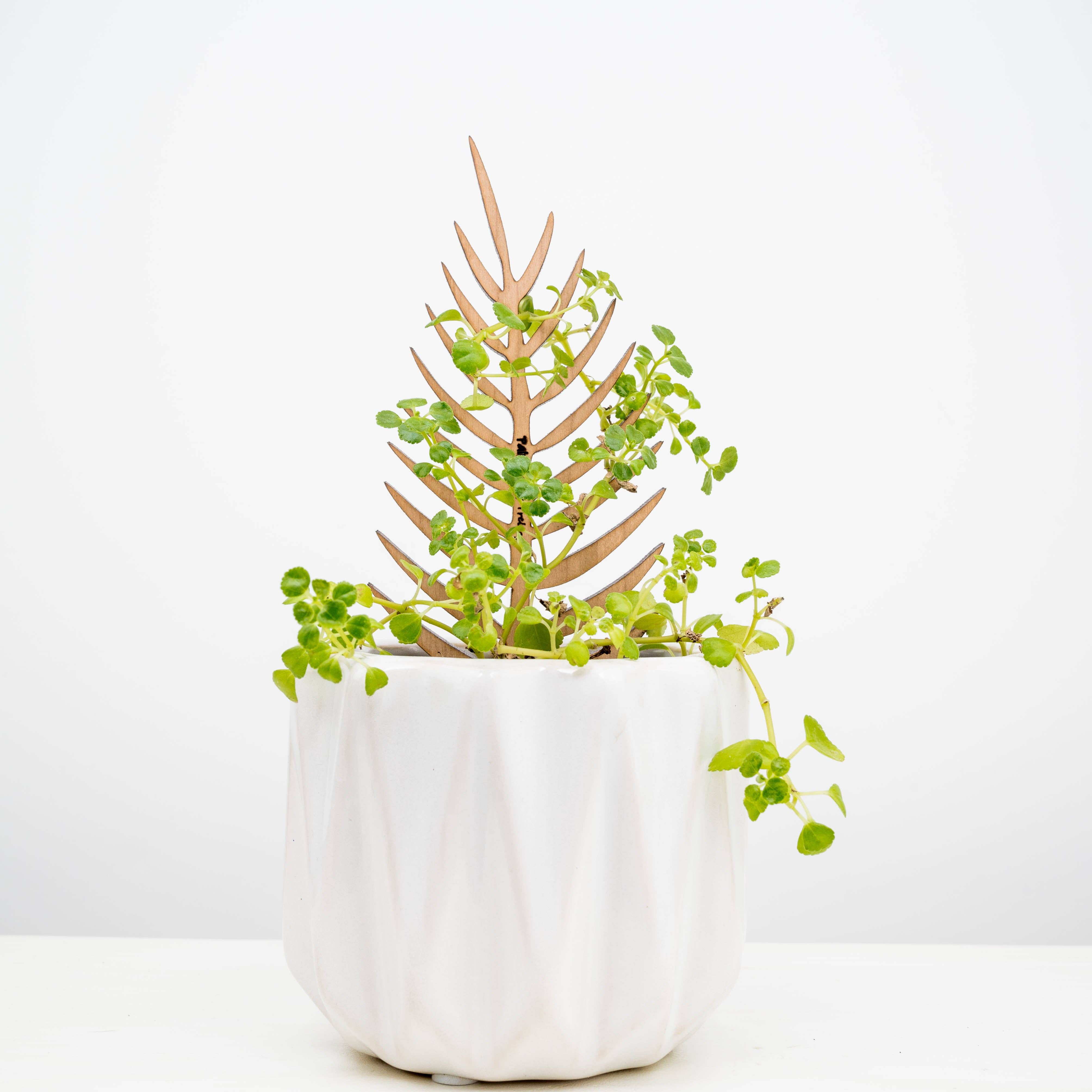 Treleaf – Engroshandel Spalier – Palmella - træspalier formet som blad til stueplanter1