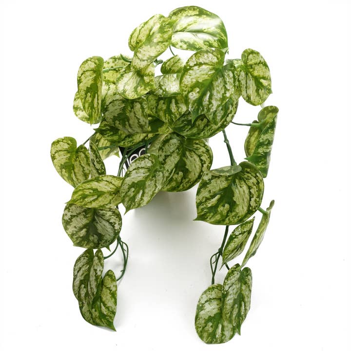 Leaf Design UK LTD - Wholesale Artificial Plant - Artificial Hanging Trailing Plant Light Green Plant