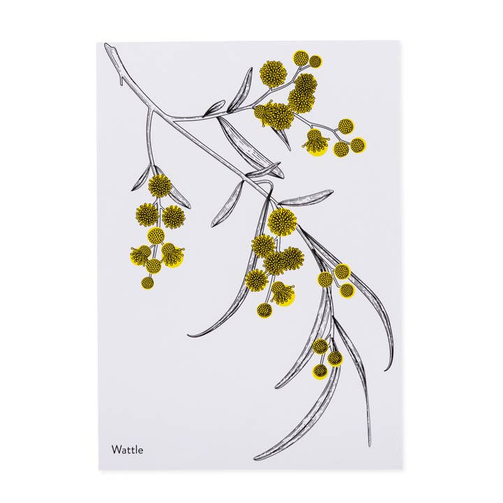 Post card-Vintage Wattle for wholesale by Saltbush Creations