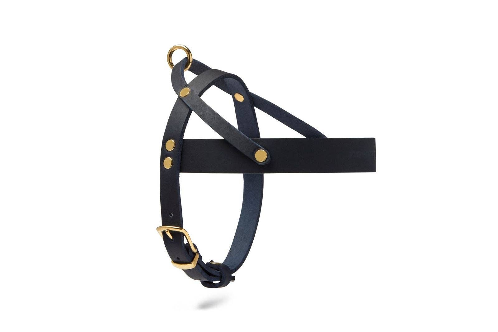 Molly and Stitch - Wholesale Pet Harness - Dog - Butter Leather Dog Harness - Navy Blue5