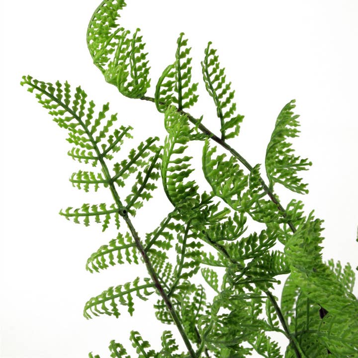 Leaf Design UK LTD – wholesale Artificial plant – Artificial Fern Plant 50cm Southern Wood Fern Pack x 62