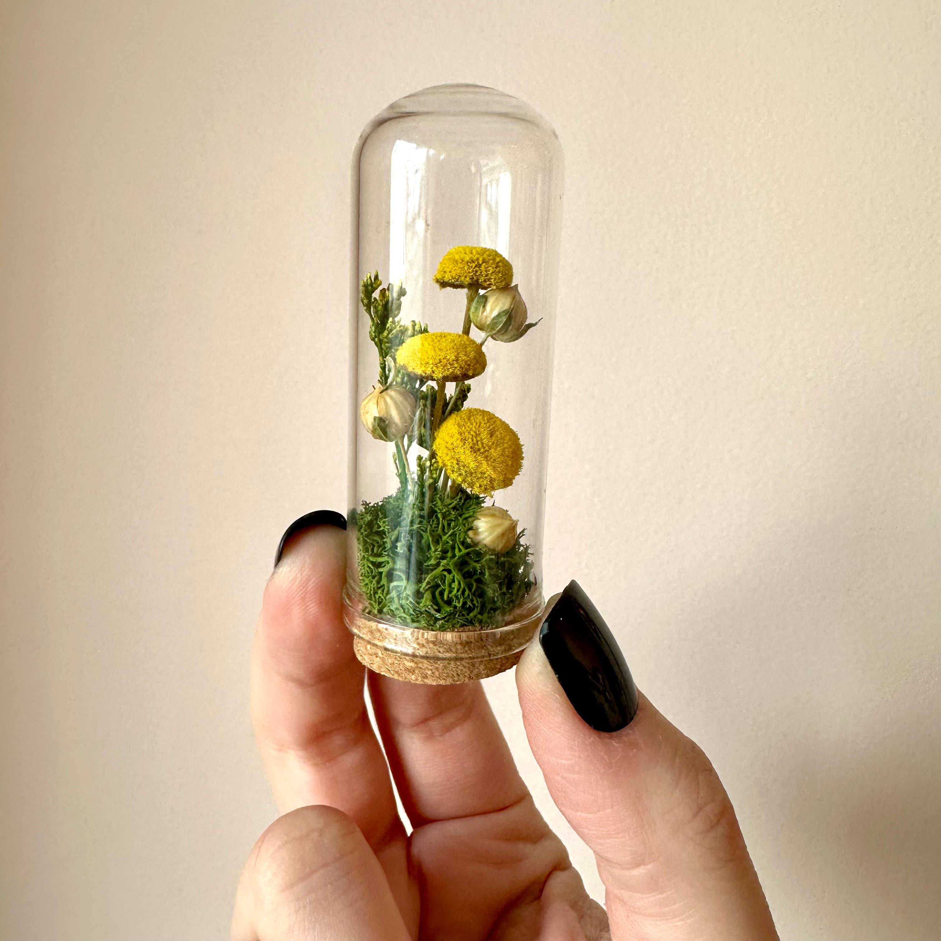 CA Studios - Wholesale Terrarium - Yellow Mushroom Fields Mini Glass Terrarium w. Dried Florals2