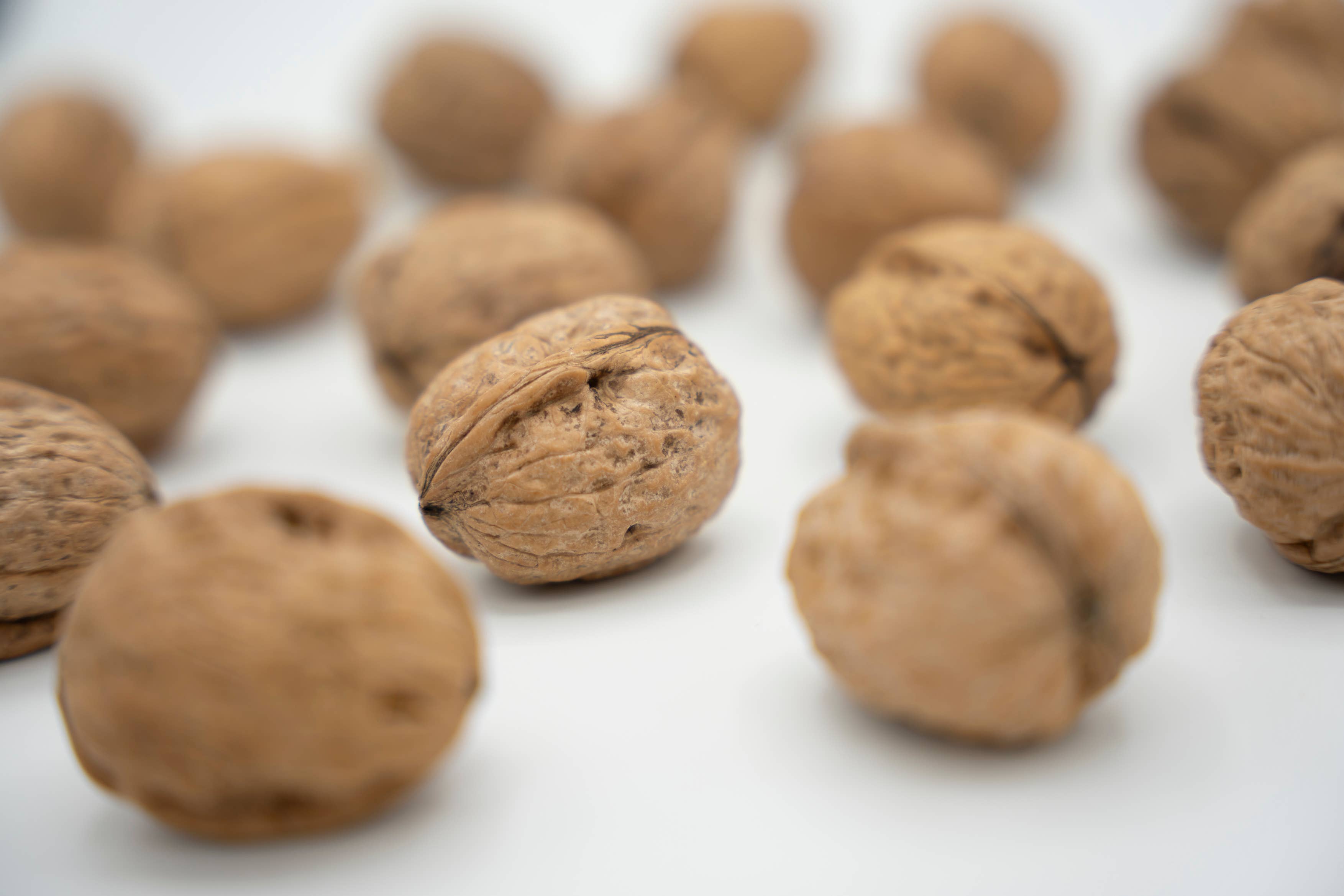 Agnellini Int Srl - Wholesale Nuts - 100% natural walnuts in shell 500g, new crop1