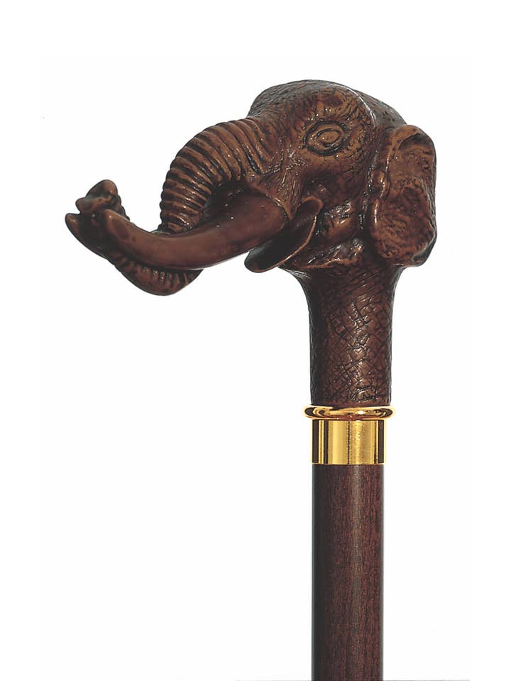 Jumbo for wholesale by Harvy Canes