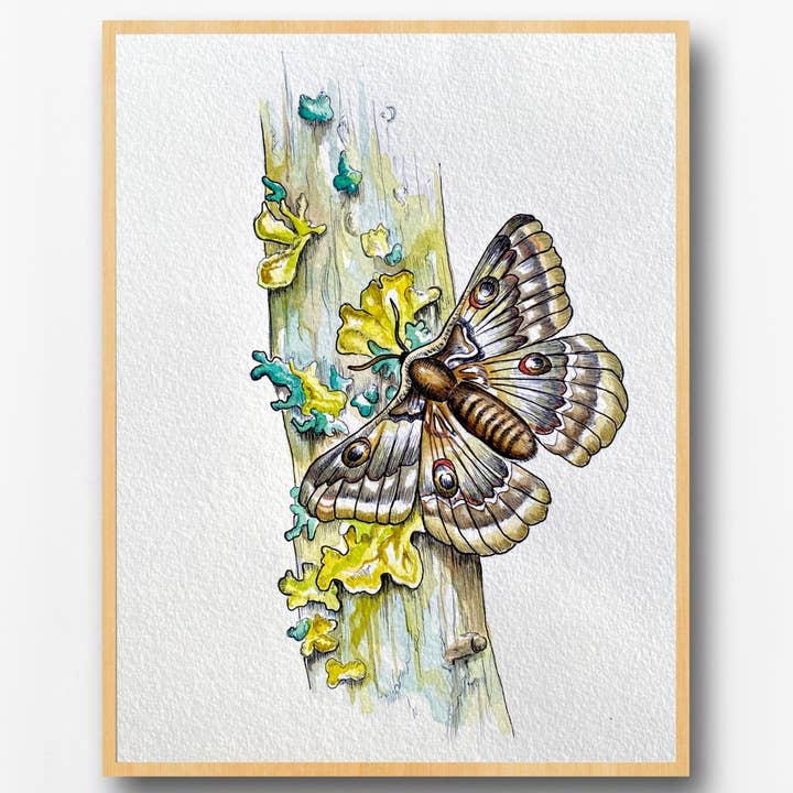 Møl på mosdækket gren Akvareltryk | Botanisk vægkunst for engroshandel hos Wild Life Design Co.