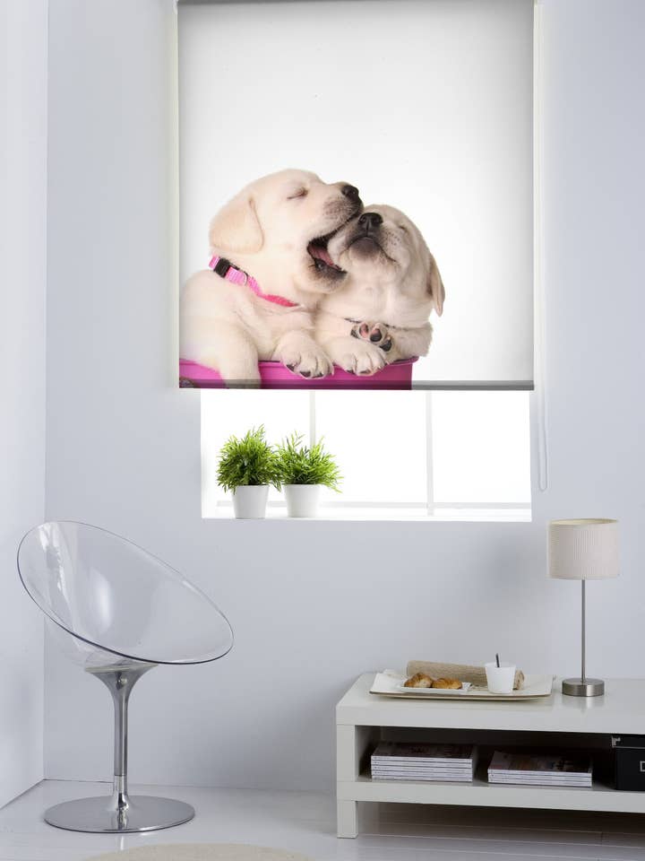 Doorschijnend rolgordijn met dierenprint voor wholesale door ZEBRA TEXTIL, SL