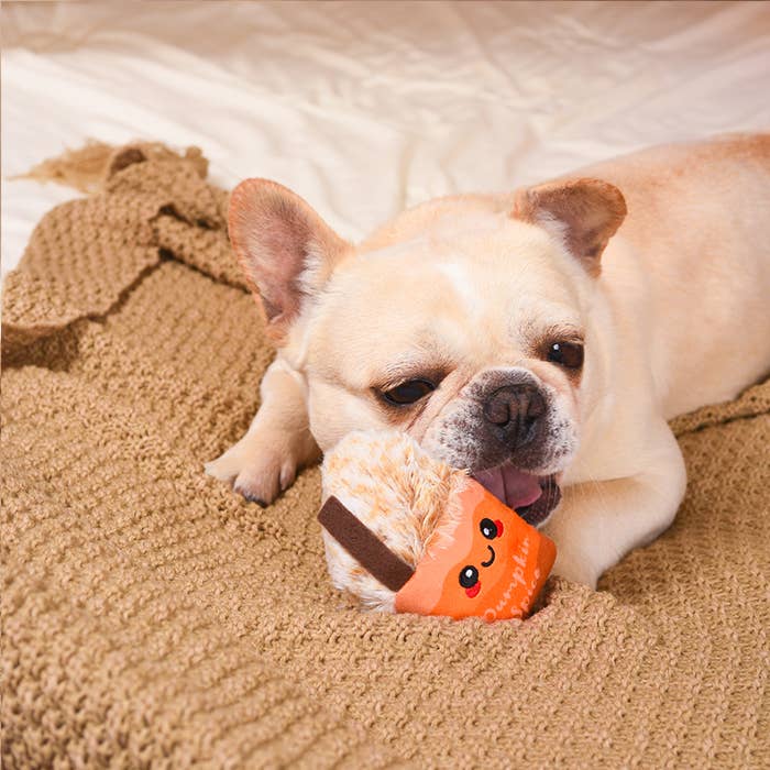 Hugsmart Products Inc - Wholesale Pet Plush Toy - Dog - HugSmart Pet - Autumn Tailz  | Pumpkin Play - Dog Plush Toy3