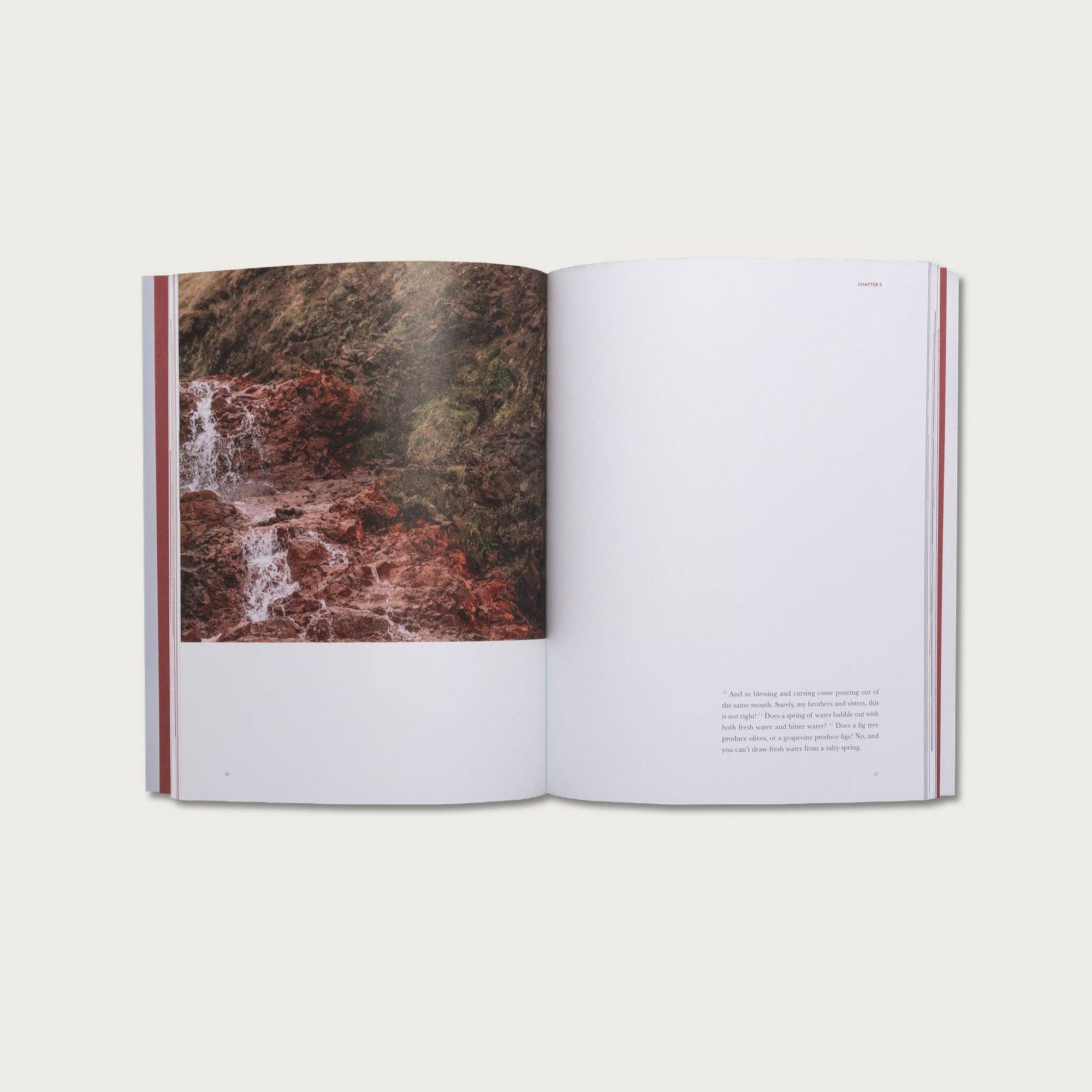 Alabaster Co - Vente Livre sur la religion - Le livre de James4