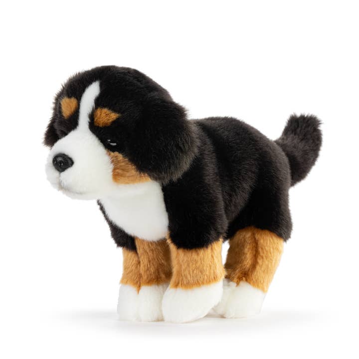 DEMDACO - Wholesale Stuffed/Plush Toy - Kids & Baby - Bernese Mountain Dog Small2