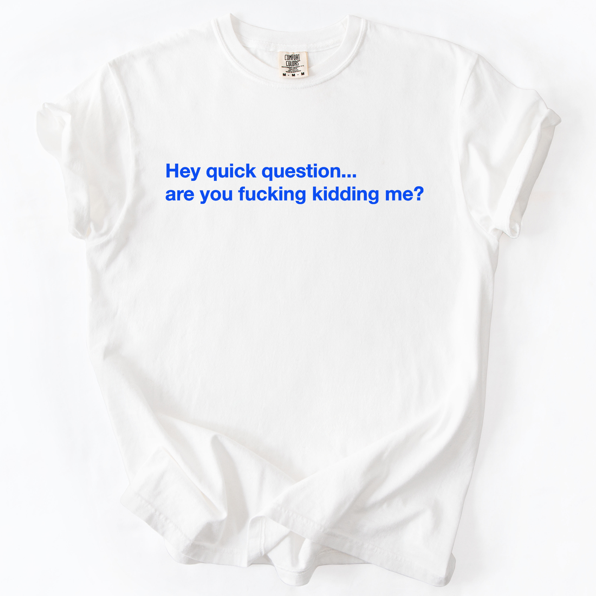 Refinery Number One LLC - Wholesale T-Shirt (Graphic) - Unisex - Hey Quick Question, Are You Kidding Me, Sarcastic T-Shirt5