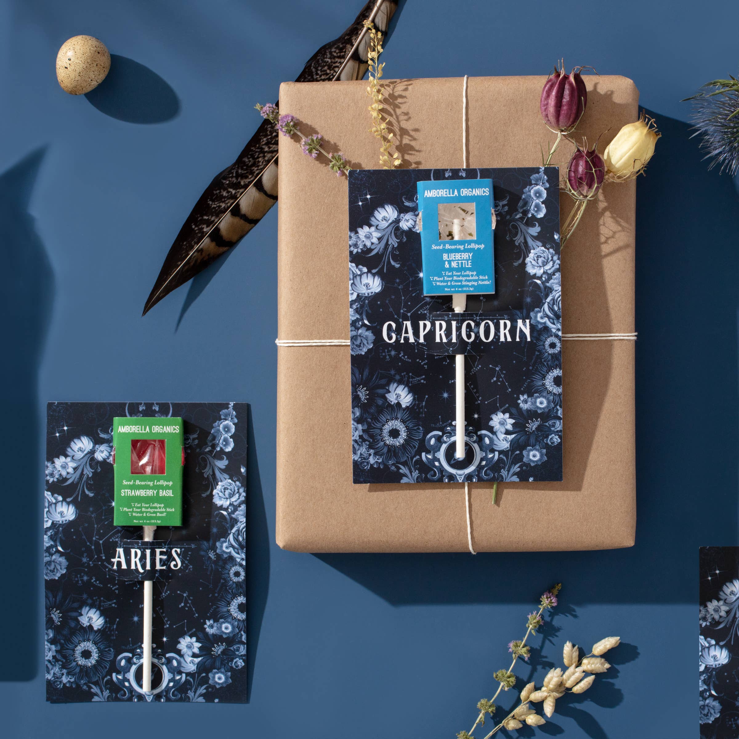 Amborella Organics - Wholesale Lollipop - Astrology Cards w/ Seed-Bearing Lollipop (Eat, Plant, Grow)5