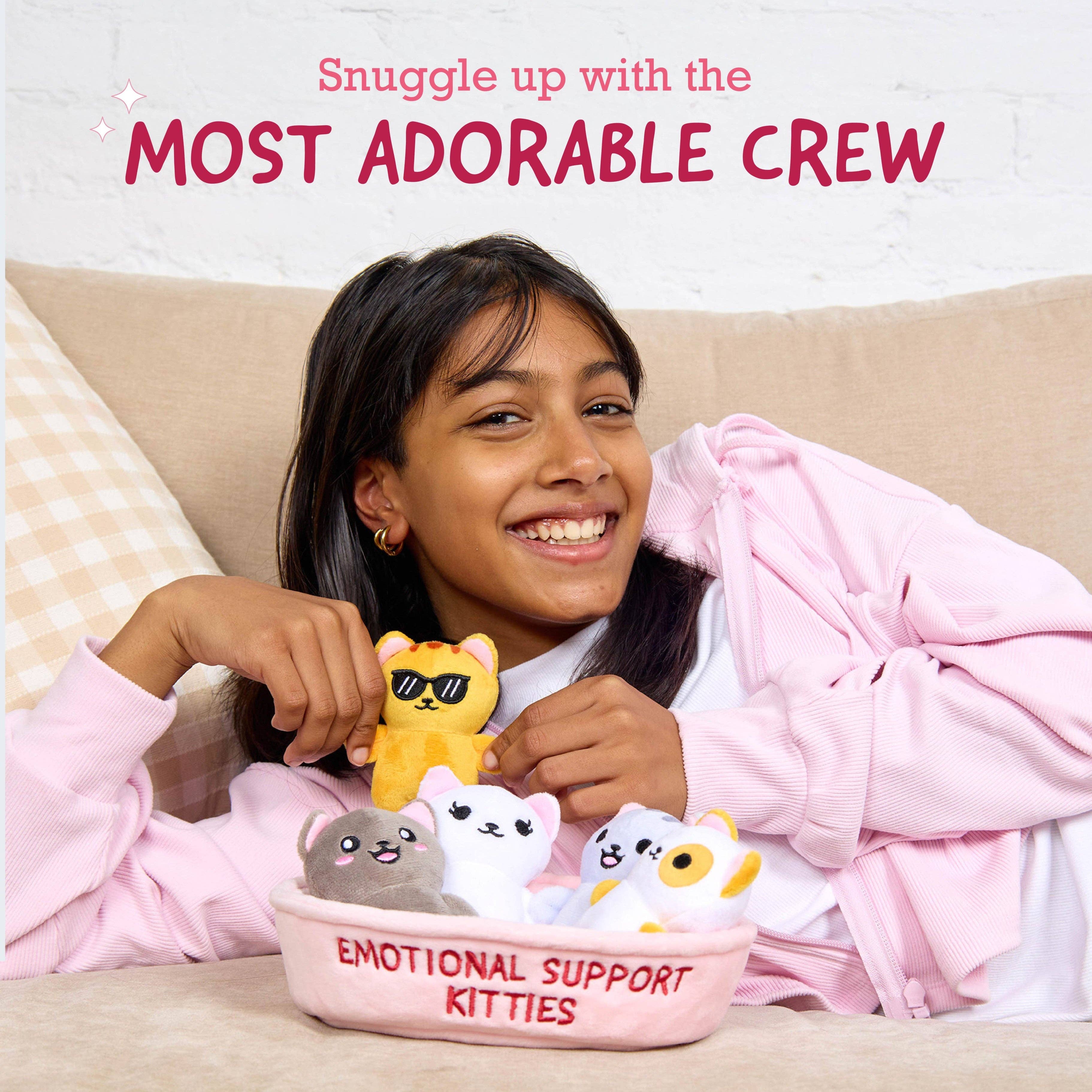 What Do You Meme - Wholesale Stuffed/Plush Toy - Kids & Baby - Emotional Support Kitties – Set of 5 Plush Cats in Cozy Container3