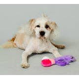 C1R B2B - Wholesale Pet plush toy – Dog - Scruffy - Bunny Vanderpup (Rabbit)5