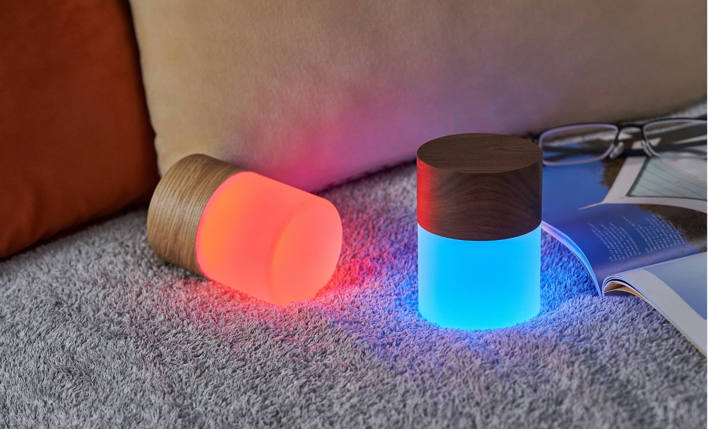 Gingko Design - Wholesale Accent/Desk Lamp - Lemelia Light4