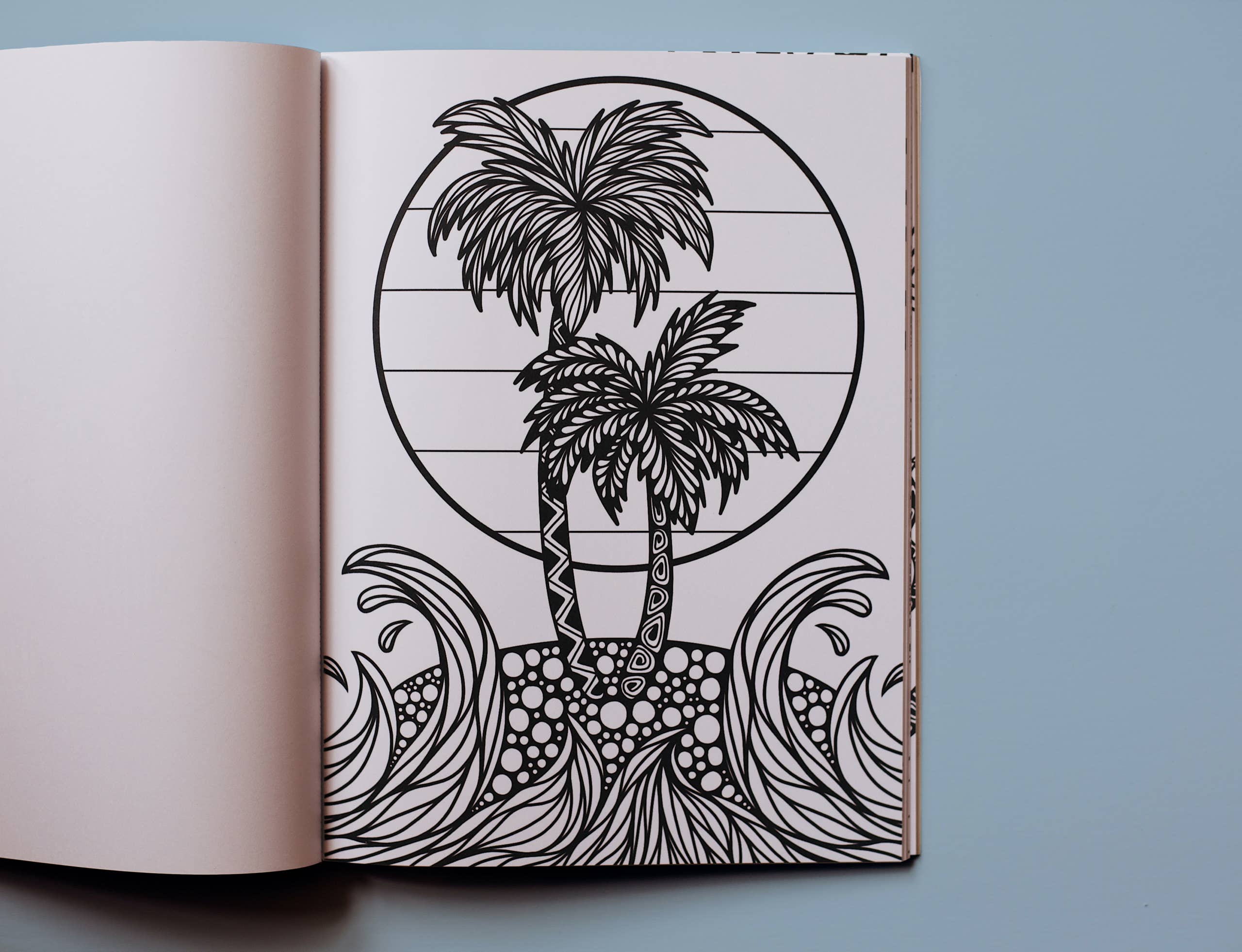 Blue Star Press - Wholesale Coloring & Activity Book - Adult - Dream in Color: Coloring Book & Stickers (Iridescent Cover)4