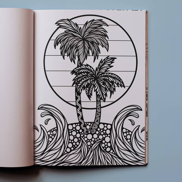 Blue Star Press - Wholesale Coloring & Activity Book - Adult - Dream in Color: Coloring Book & Stickers (Iridescent Cover)4