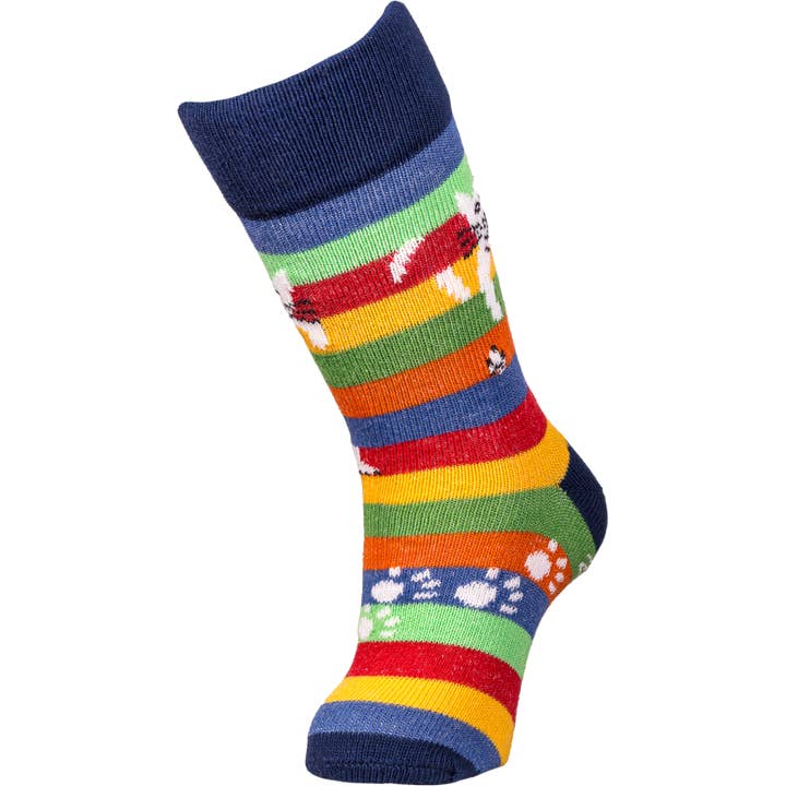 Socks - Cat on a Hot Tin Roof - 2024 Version for wholesale by Chaussettes Coccinelle