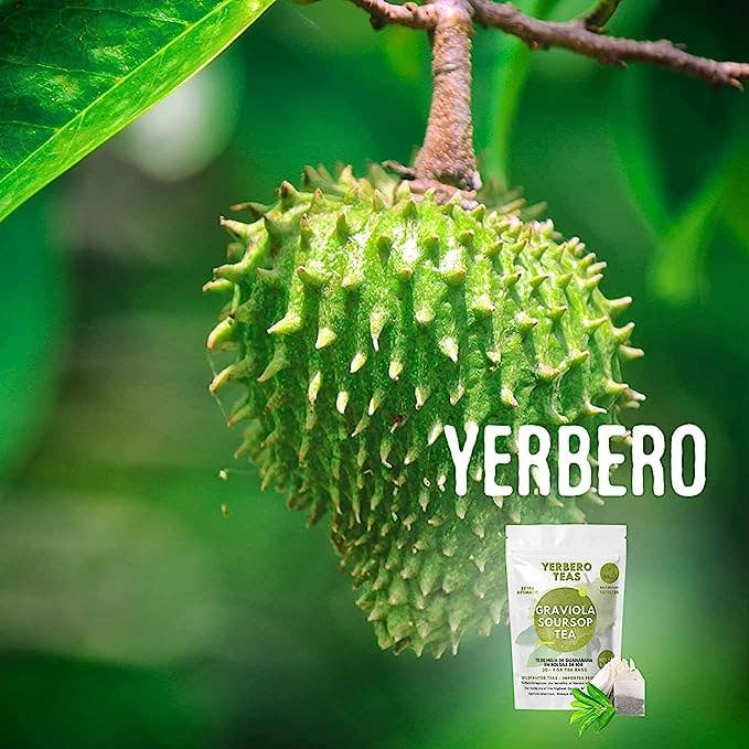 YERBERO - Wholesale Loose Tea - Yerbero - Whole Dried Graviola Soursop Leaves (4 oz - 330+ Leaves Per Bag) Hoja De Guanabana Seca3