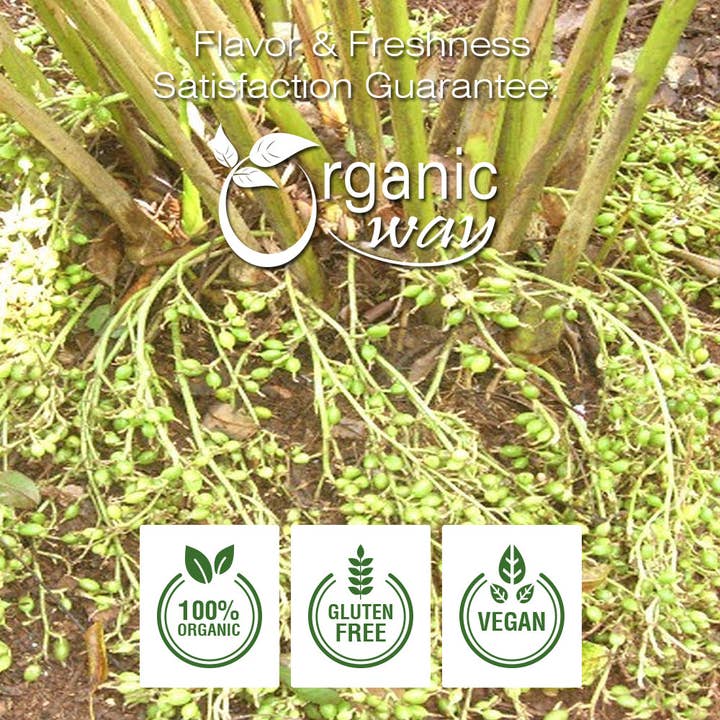 Organic Way LLC - Wholesale Herbs - Green Cardamom Cut & Sifted, Hari Elaichi (Elettaria cardamomum) - Adds Flavour | Kosher Certified | Non GMO & Gluten Free | USDA Certified | Origin - India8