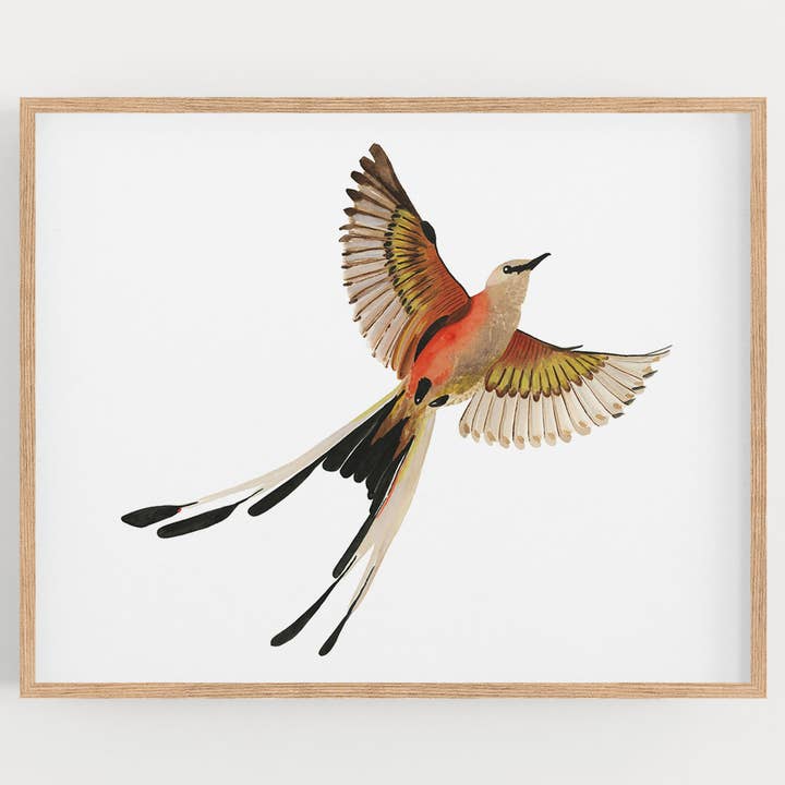 Impression d'art sur le moucherolle à queue de ciseaux pour la vente par May We Fly