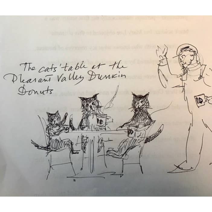 W. W. Norton - Wholesale Book - Adult - Catnip: A Love Story3