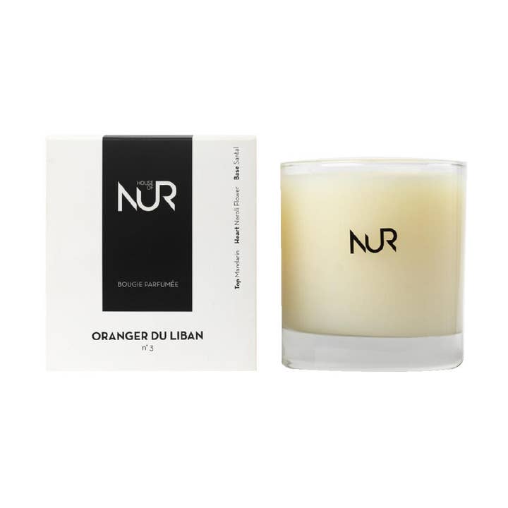 Oranger Du Liban No.3 for wholesale by House Of Nur LLC.
