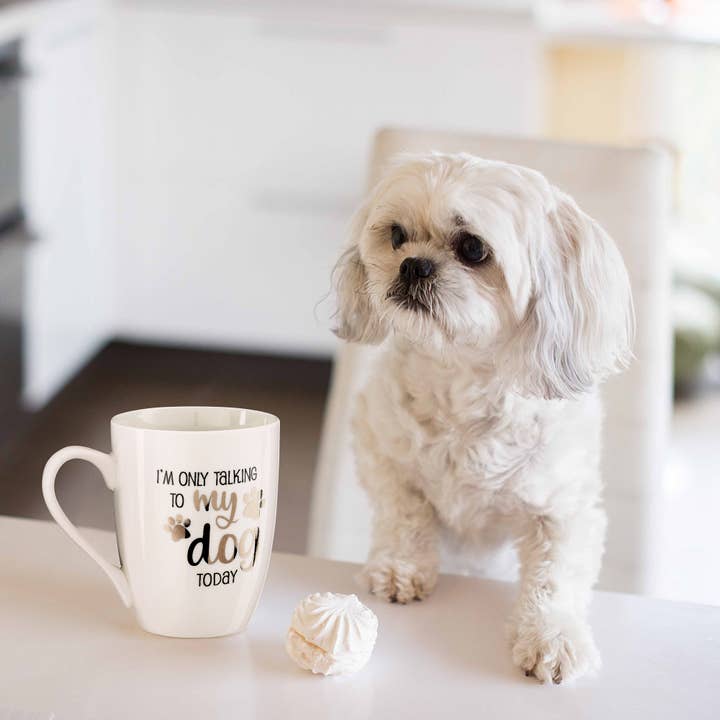 Lillian Rose - Venta al por mayor Taza - Taza de cerámica «Solo estoy hablando con mi perro hoy» de Lillian Rose3