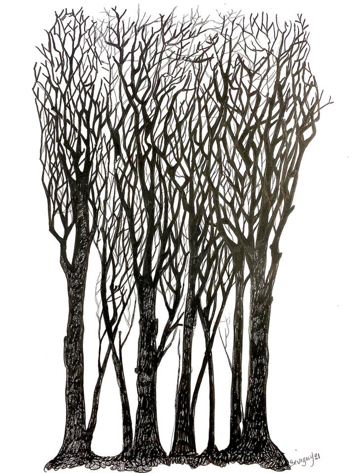 FLORESTA NEGRA por atacado de Sevigny Studio