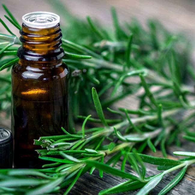 Rosemary Essemtial Oil (10 ml) for wholesale by Birchwood Acres