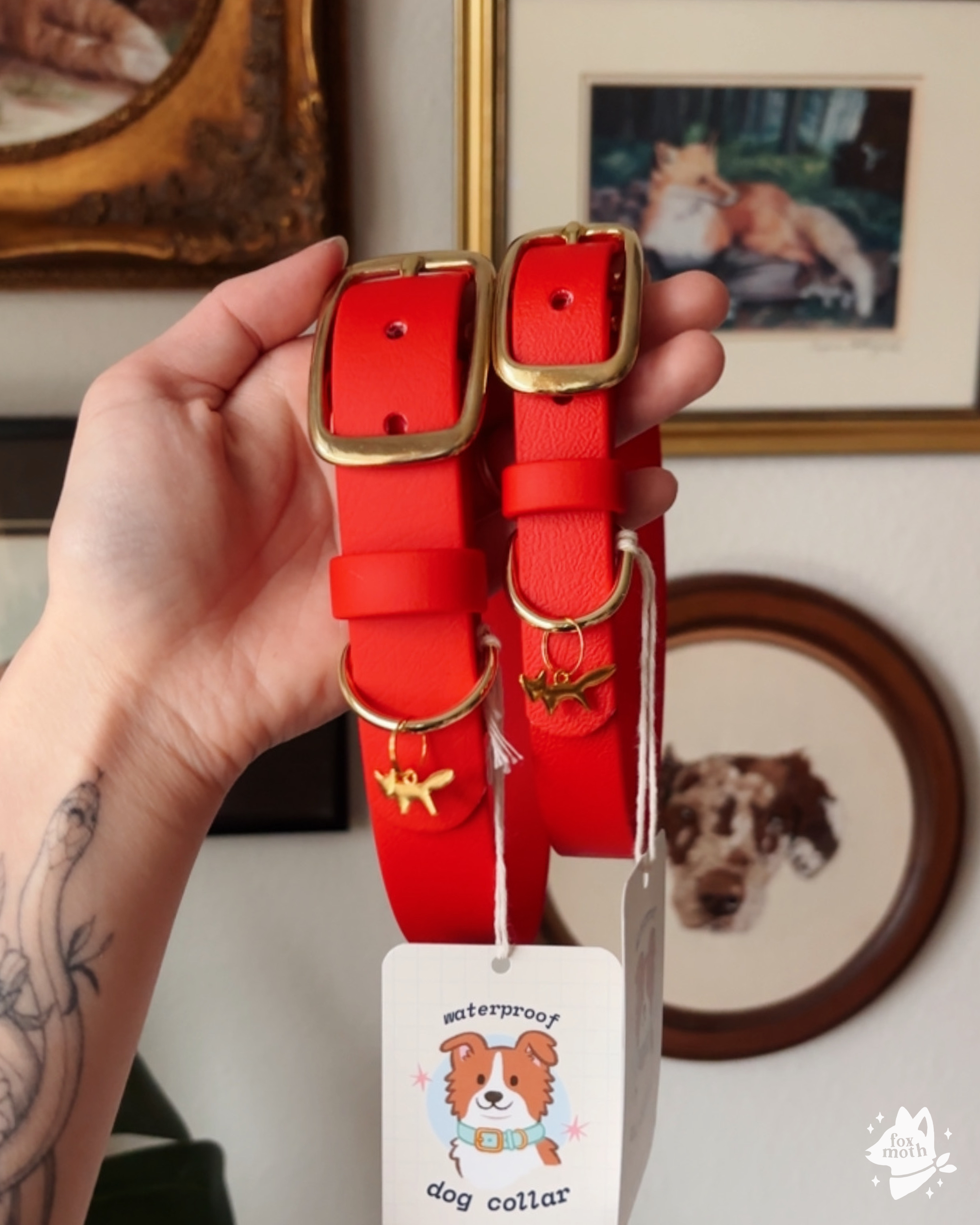 FoxMoth - Wholesale Pet Collar - Dog - Modern Waterproof Biothane Dog Collar [All 17+ Colors]16