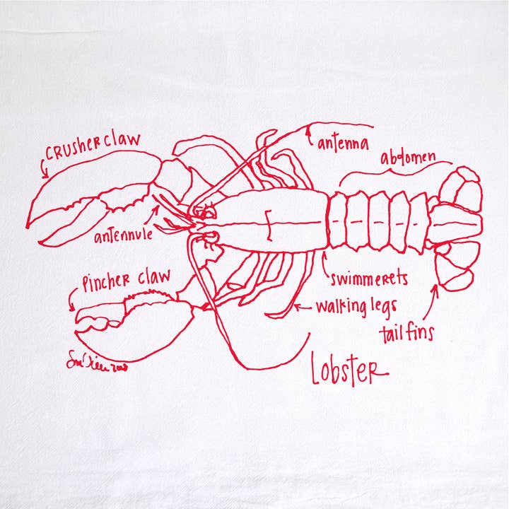 Girls Can Tell - Wholesale Tea Towel - Lobster Tea Towel | kitchen | flour sack | dish towels