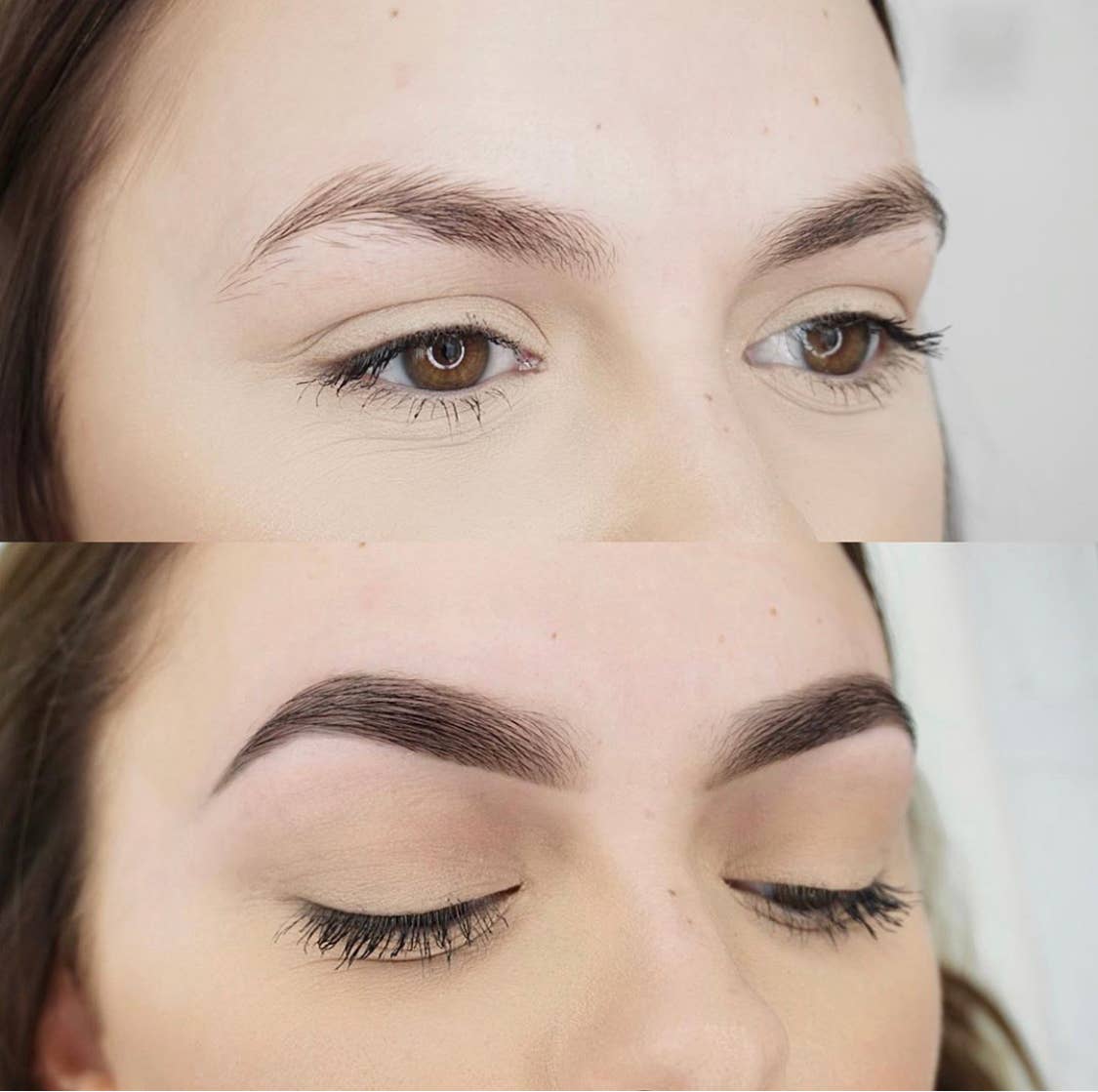 Permalash - Wholesale Eyelash/Brow Serum - Permalash Lash and Brow Tint3