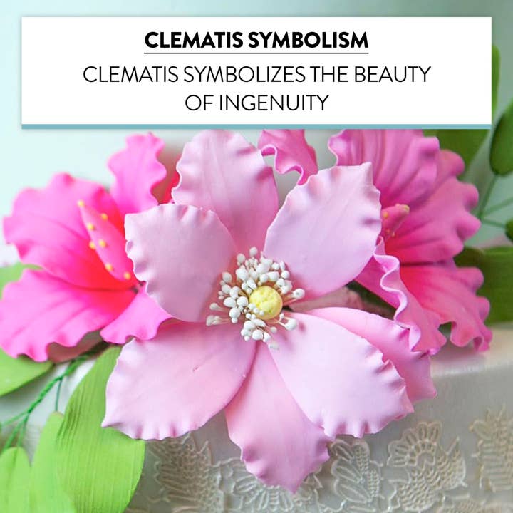 Global Sugar Art - Wholesale Cake/Cupcake Topper - Clematis Gum Paste Sugar Cake Flowers by Global Sugar Art, Pink, 3 Count5