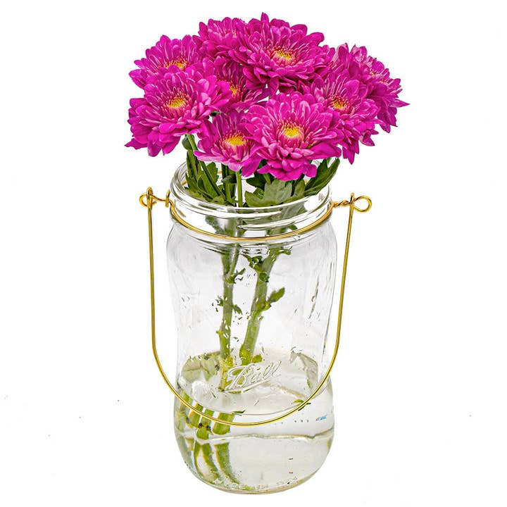 Mason Jar Lifestyle - Wholesale Jar - Gold Wire Handles for Mason Jars 6 Pack9