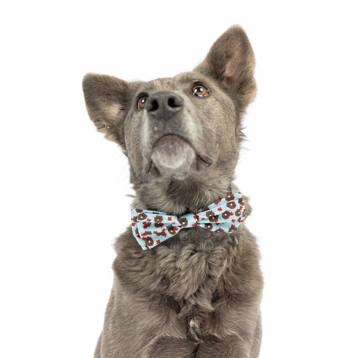 Huxley & Kent - Wholesale Pet Bow Tie - Cat/Dog - Tossed Beaver Bow Tie2